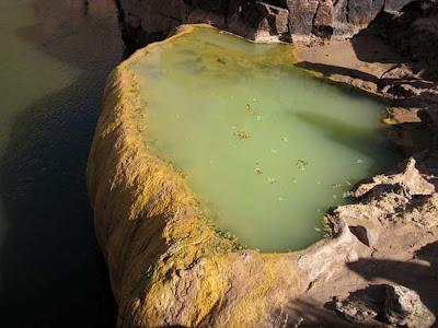 Pumpkin Spring: Μια θανατηφόρα πισίνα με αρσενικό στο Grand Canyon - Φωτογραφία 2