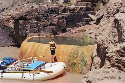 Pumpkin Spring: Μια θανατηφόρα πισίνα με αρσενικό στο Grand Canyon - Φωτογραφία 3