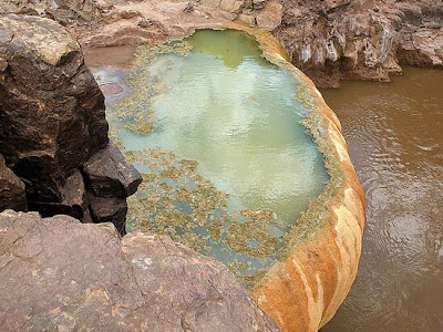 Pumpkin Spring: Μια θανατηφόρα πισίνα με αρσενικό στο Grand Canyon - Φωτογραφία 4
