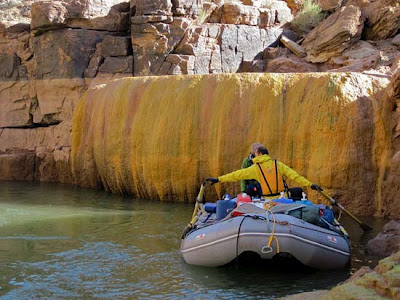 Pumpkin Spring: Μια θανατηφόρα πισίνα με αρσενικό στο Grand Canyon - Φωτογραφία 5