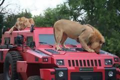 Marauder... ένα παίσχυρο θωρακισμένο όχημα μεταφοράς προσωπικού που δεν έχει να φοβάται τίποτα σε όλες τις συνθήκες! (PIC)