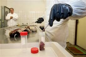 Μεταλλάξεις του ιού της γρίπης των πτηνών όπλο τρομοκρατών; - Φωτογραφία 1