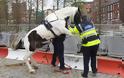 Αστυνομικός θύμα σεξουαλικής επίθεσης αλόγου... στην Ιρλανδία! [video]