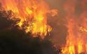 Κρέστενα: Στο δάσος, πυρκαγιά σε εξέλιξη