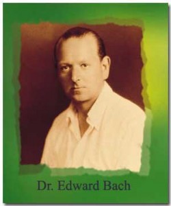 Ανθοθεραπεία: Η πεμπτουσία των Ανθέων - Φωτογραφία 2
