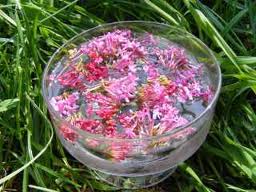 Ανθοθεραπεία: Η πεμπτουσία των Ανθέων - Φωτογραφία 4