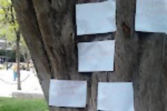 Τιμή και σεβασμό στα θύματα του οικονομικού πολέμου…