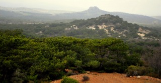 Δεν θα παραδοθεί το Πέραμα στα νύχια των χρυσοθήρων! - Φωτογραφία 2