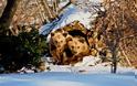 Ξύπνησαν από τη χειμερία νάρκη τα αρκουδάκια