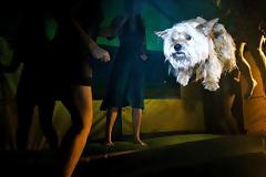 Οι νέες ταινίες στους κινηματογράφους από 04/04!