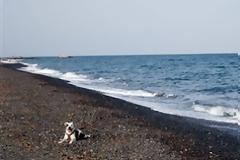 ΔΕΙΤΕ: Οι πιο ασυνήθιστες παραλίες του κόσμου!!