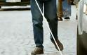 Εντοπίστηκαν 50 μαιμού τυφλοί στην Χίο
