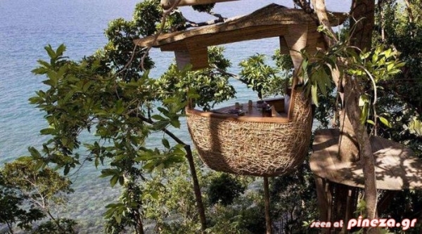 ΔΕΙΤΕ: Εστιατόριο στην κορυφή ενός δέντρου - Φωτογραφία 2