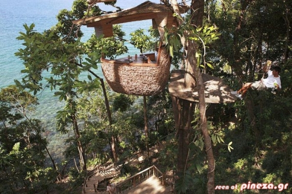 ΔΕΙΤΕ: Εστιατόριο στην κορυφή ενός δέντρου - Φωτογραφία 6