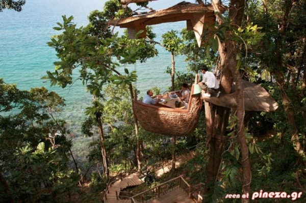 ΔΕΙΤΕ: Εστιατόριο στην κορυφή ενός δέντρου - Φωτογραφία 7