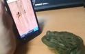 VIDEO: Δείτε τι έγινε όταν ο βάτραχος συνάντησε την τεχνολογία!