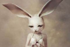 ΤΕΧΝΗ: Ζωώδη ένστικτα