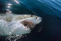 Οι 5 πιο επικίνδυνες παραλίες του κόσμου