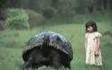 ΔΕΙΤΕ: Οι γιγάντιες χελώνες των Γκαλαπάγκος - Φωτογραφία 2