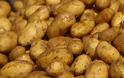 Ανάρπαστοι 16 τόνοι πατάτας στην Αλόννησο