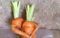 ΤWITTER: Πανικός με τα καρότα που… αγκαλιάζονται!