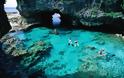 Niue: Ένας επίγειος παράδεισος! - Φωτογραφία 7