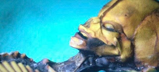 Πτώμα εξωγήινου βρέθηκε σε έρημο της Χιλής; [video] - Φωτογραφία 1