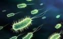 Υγεία: Αύξηση των βακτηριογενών λοιμώξεων στην Ευρώπη