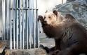 Συγκέντρωση υπογραφών για να σωθούν τα ζώα του Δημοτικού Ζωολογικού Κήπου Θεσσαλονίκης