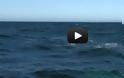 VIDEO: Φάλαινα εκτόξευσε ουράνιο τόξο !