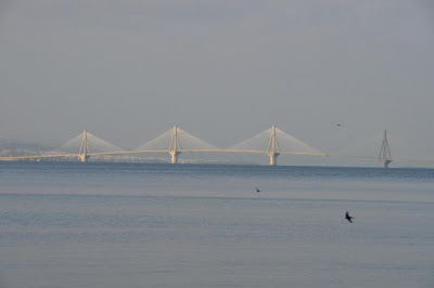 Πάτρα: Tα χελιδόνια πάνω απο τη Γέφυρα - Δείτε την υπέροχη φωτο - Φωτογραφία 2