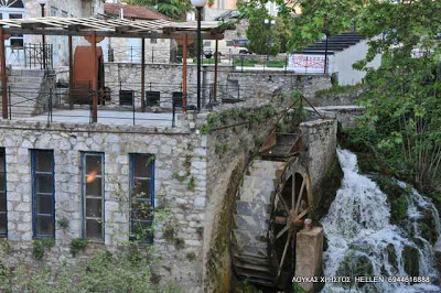 Εγκαίνεια της έκθεσης φυτών και βοτάνων στη Λιβαδειά - Φωτογραφία 2