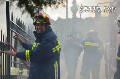 Άσκηση της πυροσβεστικής σε Μυκήνες και Ναύπλιο - Φωτογραφία 13