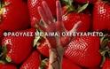 Διαδικτυακή εκστρατεία για μποϊκοτάζ στις φράουλες Mανωλάδας!