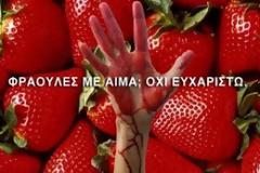 Διαδικτυακή εκστρατεία για μποϊκοτάζ στις φράουλες Mανωλάδας!