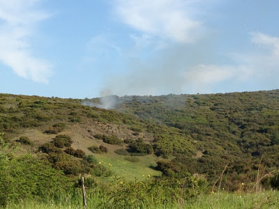 Φωτιά αυτή την ώρα σε περιοχή κοντά στα Δημοσιοϋπαλληλικά - Φωτογραφία 2