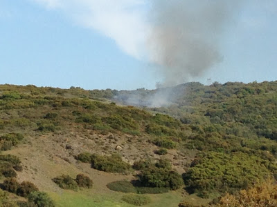 Φωτιά αυτή την ώρα σε περιοχή κοντά στα Δημοσιοϋπαλληλικά - Φωτογραφία 4