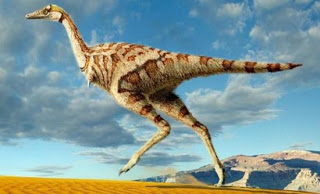 Αγνωστο είδος δεινοσαύρου στη Μαδαγασκάρη - Φωτογραφία 1