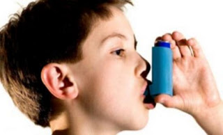 Υγεία: Πίκρα εναντίον άσθματος - Φωτογραφία 1