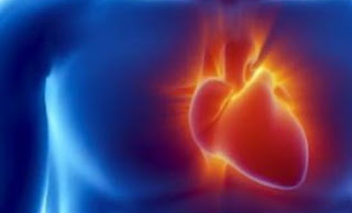 Υγεία: «Εξυπνα» βλαστικά κύτταρα εναντίον καρδιακής ανεπάρκειας - Φωτογραφία 1