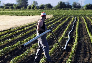 Aμαλιάδα: Αναζητείται λύση για τον ΦΠΑ των αγροτών - Φωτογραφία 1