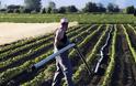 Aμαλιάδα: Αναζητείται λύση για τον ΦΠΑ των αγροτών