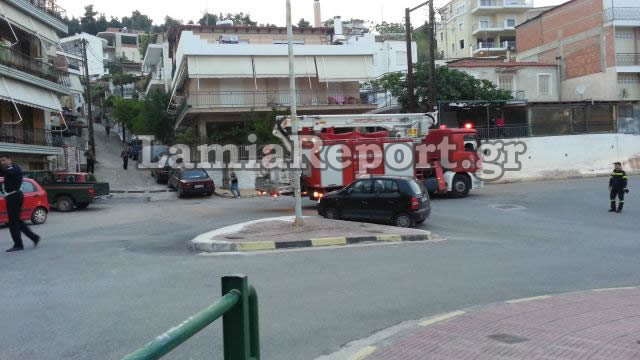 Λαμία: Ορφανό μελίσσι σε παιδική χαρά - Φωτογραφία 4