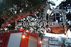 Λαμία: Ορφανό μελίσσι σε παιδική χαρά