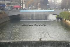 Φωτογραφίες του Ληθαίου ποταμού στα Τρίκαλα