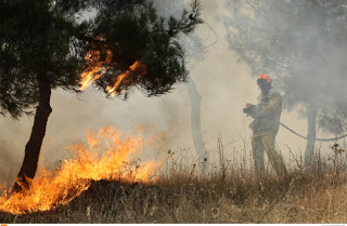 Πάτρα - τώρα: Συναγερμός στην Πυροσβεστική από πυρκαγιά κοντά στον Προφήτη Ηλεία στα Μποζαίτικα - Φωτογραφία 1