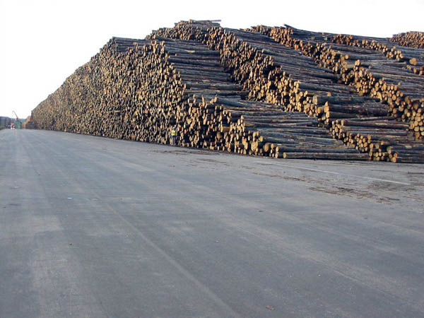 Byholma: Η μεγαλύτερη… αποθήκη ξυλείας - Φωτογραφία 3