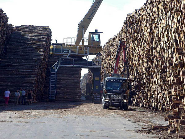Byholma: Η μεγαλύτερη… αποθήκη ξυλείας - Φωτογραφία 5