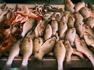 Πάτρα: 105 κιλά ψάρια κατασχέθηκαν στην Ιχθυόσκαλα - Φωτογραφία 1