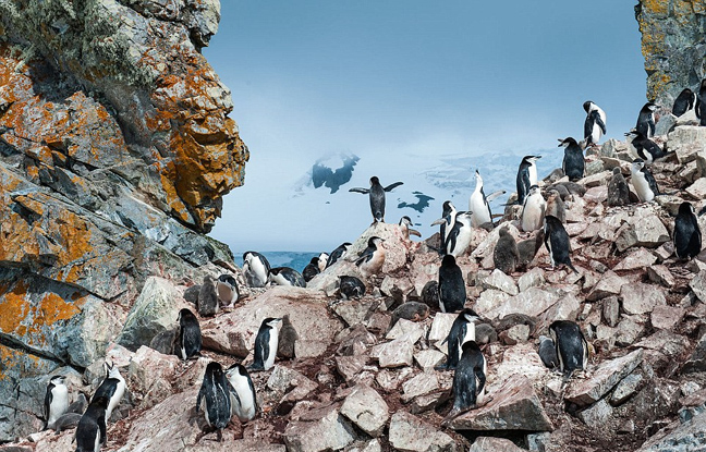 Συγκλονιστικές εικόνες από διαγωνισμό του National Geographic - Φωτογραφία 10